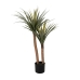 Decoratieve plant Rubber 60 X 60 X 110 CM