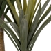 Decorative Plant Rubber 60 X 60 X 110 CM