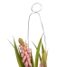 Decoratieve plant Polyester Polyethyleen Ijzer 7 x 7 x 18 cm