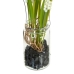 Decorative Plant Polyester Polyethylene Iron 7 x 7 x 18 cm