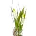 Decorative Plant Polyester Polyethylene Iron 7 x 7 x 18 cm