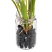 Decoratieve plant Polyester Polyethyleen Ijzer 7 x 7 x 18 cm