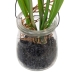 Decoratieve plant Polyester Polyethyleen Ijzer 5,5 X 5,5 X 21 CM