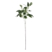 Decoratieve plant Polyester 15 x 15 x 59 cm