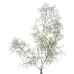 Decoratieve plant Polyethyleen 20 X 15 X 75 CM