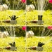 360º Vanningsprinkler for hagen Klerdden InnovaGoods 36 dyser (Fikset A)