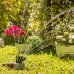 Irrigatore da Giardino a 360º Klerdden InnovaGoods 36 getti (Ricondizionati B)