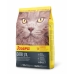 Comida para gato Agras Pet Foods SCHESIR Peixe 300 g