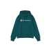 Hanorac cu Glugă Bărbați Champion HOODED SWEATSHIRT 220253 HLG Verde