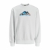 Мъжки суичър без качулка Jack & Jones SWEAT CREW NECK 12262094 Бял