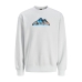 Dressipluus ilma kapuutsita, meeste Jack & Jones SWEAT CREW NECK 12262094 Valge