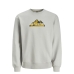 Férfi Kapucni nélküli pulóver Jack & Jones SWEAT CREW NECK 12262094 Szürke