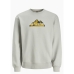 Bluza bez kaptura Męska Jack & Jones SWEAT CREW NECK 12262094 Szary