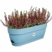 Planter Elho Plast