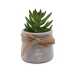 Decoratieve plant Versa Keramisch Plastic 5,59 x 8,89 x 5,59 cm