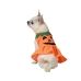 Costume per Cane Zucca Taglia M