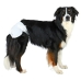 Bleer Trixie 23634 Hund M/L