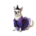 Dog Costume Witch Size M