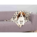 Huisdierendeken Trixie Beany 100 x 70 cm Beige