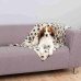 Huisdierendeken Trixie Beany 100 x 70 cm Beige