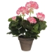 Dekoratiivne Taim Mica Decorations PVC Geraanium (11,5 x 33 cm)