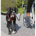 Dog Lead Trixie Reflective Bicycle