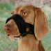 Muzzle Trixie Black L