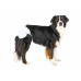 Pannolini Trixie 23631 Cane XS/S