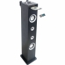 Altoparlante a Colonna Inovalley HP49CD 100W