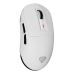 Mouse Genesis Zircon 660 Alb