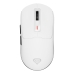 Mouse Genesis Zircon 660 Alb