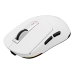 Mouse Genesis Zircon 660 Alb