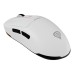 Mouse Genesis Zircon 660 Alb