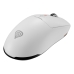 Mouse Genesis Zircon 660 Alb