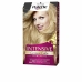 Obstojna barva Palette Intensive Schwarzkopf N 8 Svetlo blond