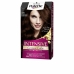 Μόνιμη Βαφή Palette Schwarzkopf Καφέ N 4,6