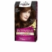 Pysyvä väriaine Palette Schwarzkopf 8410436170697 Ruskea N 5,68