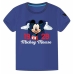 Figure Mickey Mouse