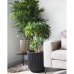 Planter Capi Europe Black Plastic Ø 43 cm