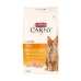 Mâncare pentru pisici Animonda Carny Kitten Pui 1,75 kg