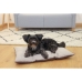 Cama para gato Kerbl 80462 Bege Bronze