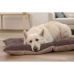 Cama para gato Kerbl 80462 Bege Bronze