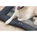 Lit pour chat Kerbl 80475 Gris