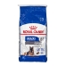 Foder Royal Canin Maxi Ageing Vuxen Fåglar 15,3 Kg