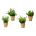 Decoratieve plant EDM 18 cm