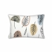 Cushion cover Pierre Cardin 50 x 50 cm