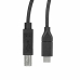 Cablu USB Startech USB2CB3M Negru 3 m