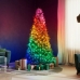 LED-lichtkrans Twinkly TWKC100RGB-T Kerstmis Multicolour