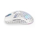 Mouse Endorfy EY6A010 Bianco Multicolore 16000 dpi