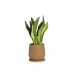 Bloempot met schaal Alexandra House Living Terra cotta Keramisch 22 x 22 x 22 cm